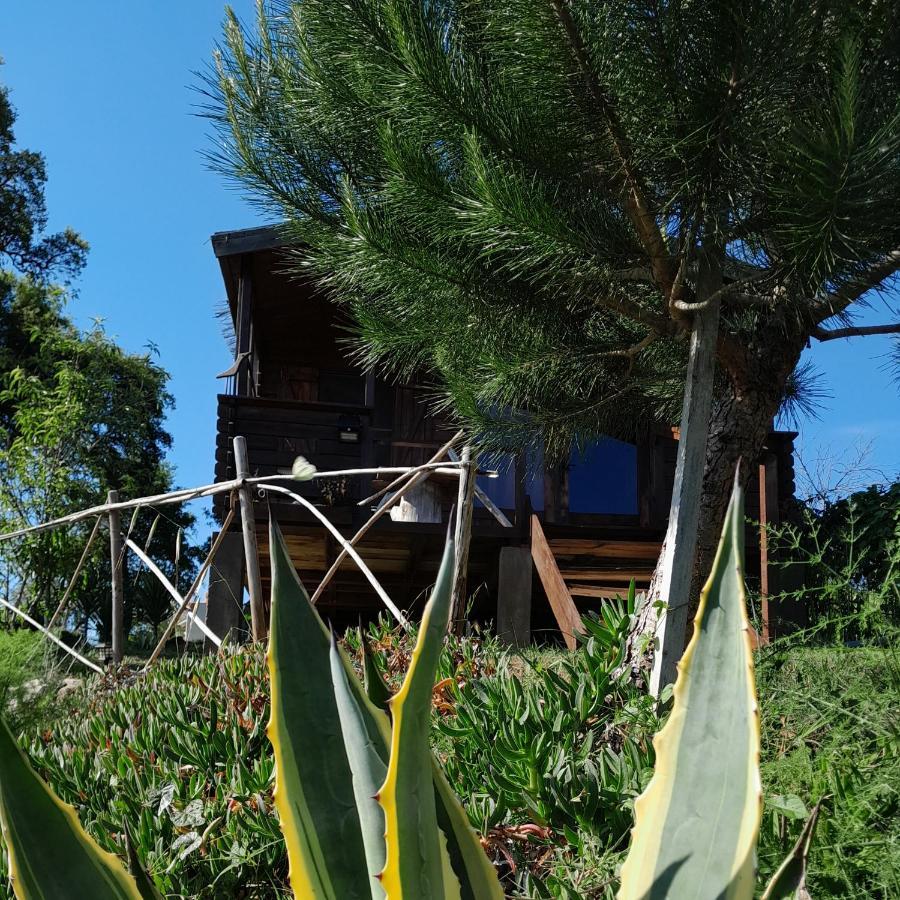 Casa do Sobreiro 2 Serra das Alhadas Exterior foto