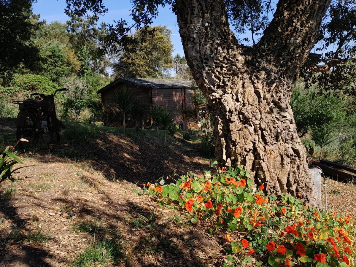 Casa do Sobreiro 2 Serra das Alhadas Exterior foto